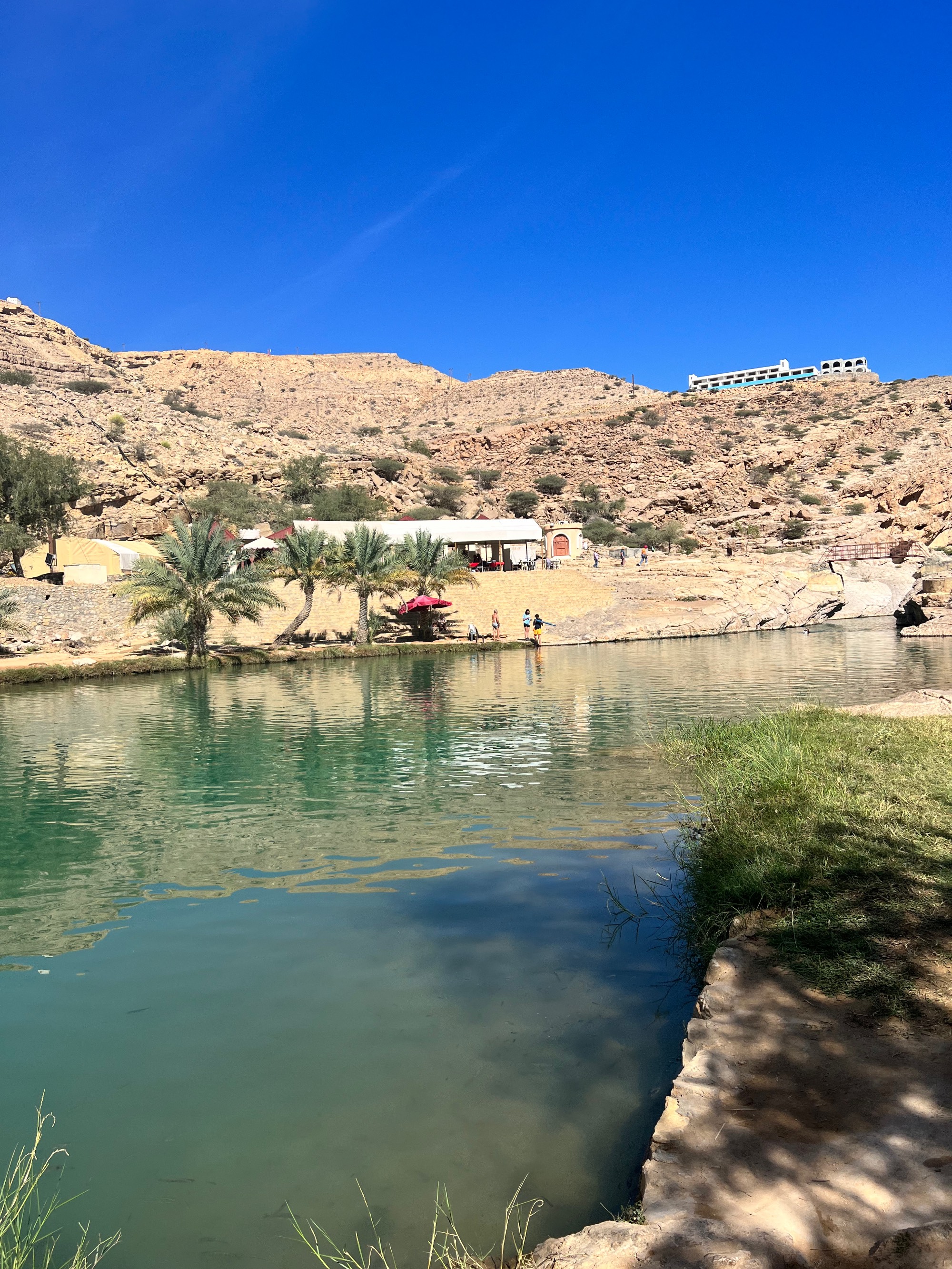 Oasis ravine in the desert